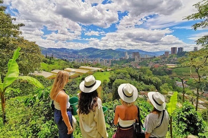 Tour privato di mezza giornata della piantagione di caffè a Medellín, in Co...