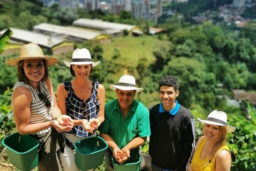 Half-day Coffee Plantation Private Tour: Learn everything about coffee with us
