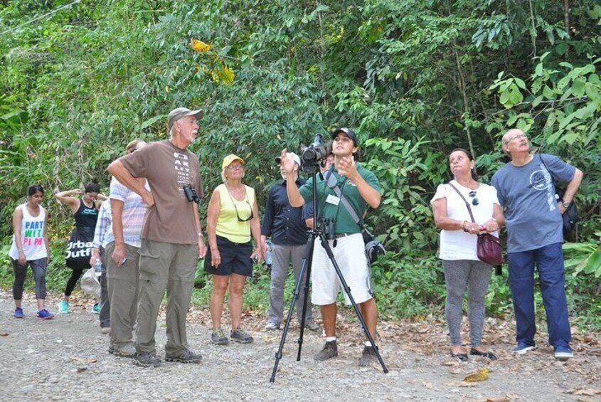 Manuel Antonio National Park Hiking Tour from Jacó