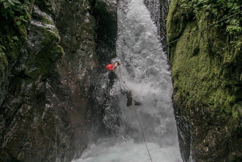 Zip Lining, Rappeling, Tarzan Swing, Waterfalls and More from Manuel Antonio