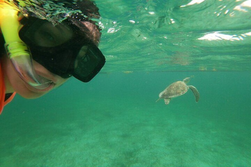 Private Tour: Akumal Marine Turtle Snorkeling and Cenote Adventure