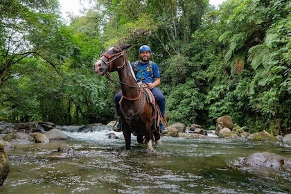 Arenal Horseback Riding to La Fortuna Waterfall 