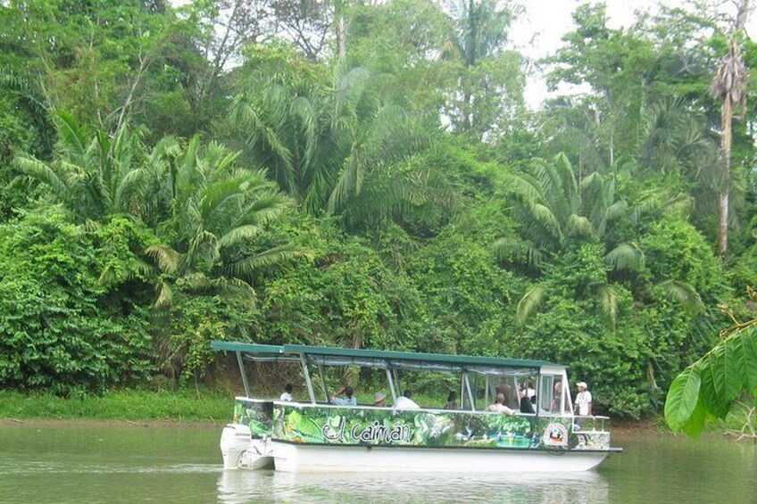 Descubre el Humedal Caño Negro, una experiencia de auténtico encuentro con la naturaleza