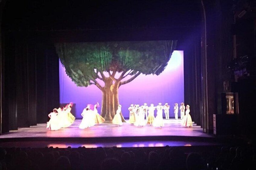 Private Tour: Folkloric Ballet in Mexico City