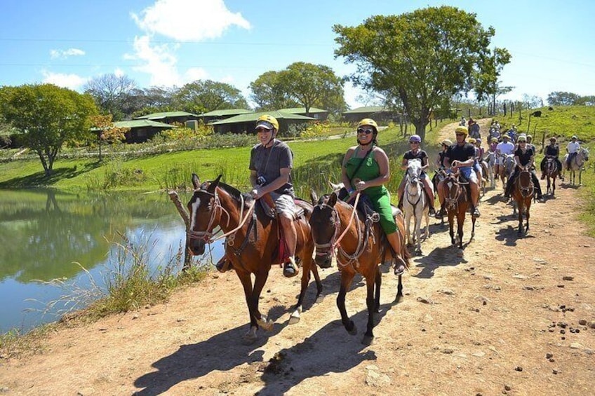 Private Rincon de la Vieja Volcano Adventure Tour from Liberia