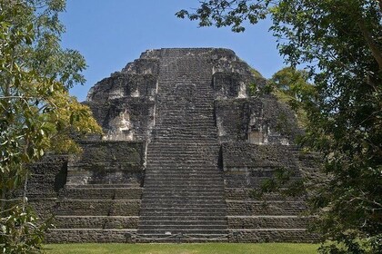 Tikal - Tagesausflug mit dem Flugzeug von Guatemala City mit Mittagessen