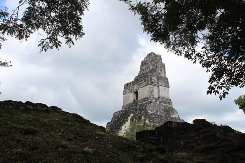 Tikal VIP Private Day Tour from Flores with transportation