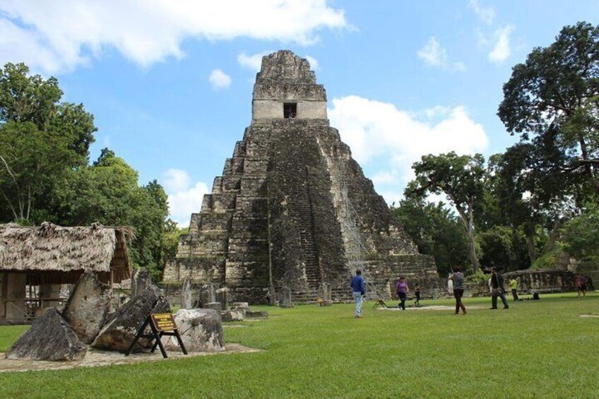 Tikal VIP Private Day Tour from Flores with transportation