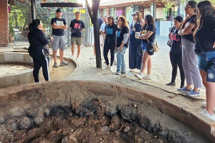 Private Tour to Hierve el Agua, Mezcal Tasting, and Textiles