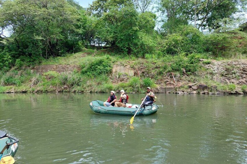 Sloths in the jungle & safari by the River