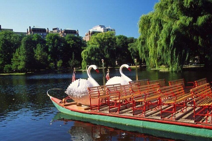 Swan boats in Boston Common