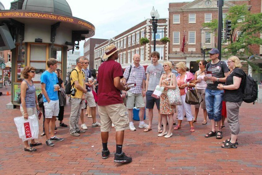 Launching in Harvard Square