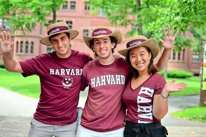 Balade dans le campus Hahvahd de Harvard