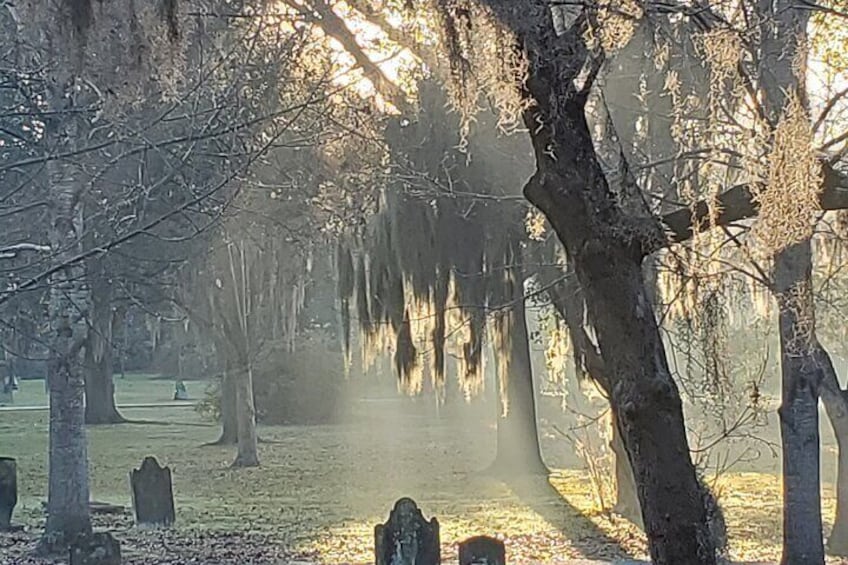 90-Minute Savannah History & Haunts Candlelit Walking Ghost Tour