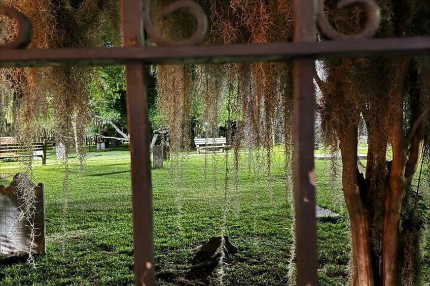 Savannah's Ghost City "Dead of Night" Walking Night Tour