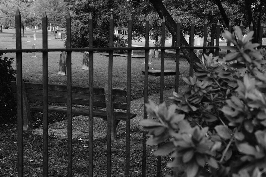 Genteel and Bard's Savannah Dark History and Ghost Walking Tour