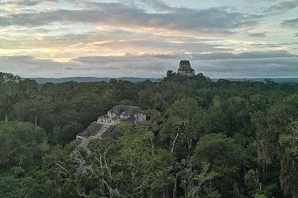 Tikal Tour Exclusivo al Atardecer Todo Incluido