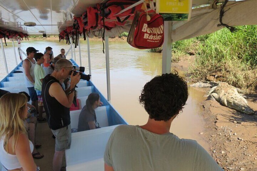 Jungle Crocodile Safari and Bird Watching Tour