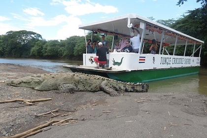 Safari con coccodrilli nella giungla e tour di birdwatching