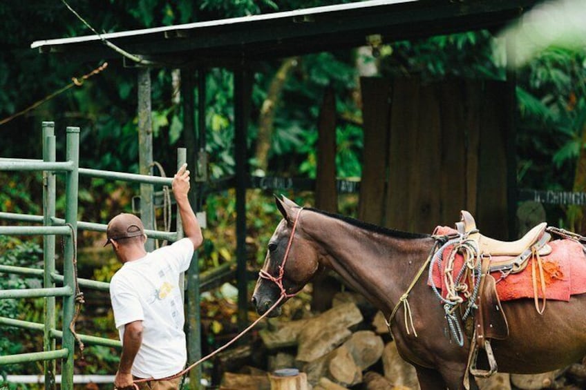 Horseback Riding and Waterfalls from Manuel Antonio