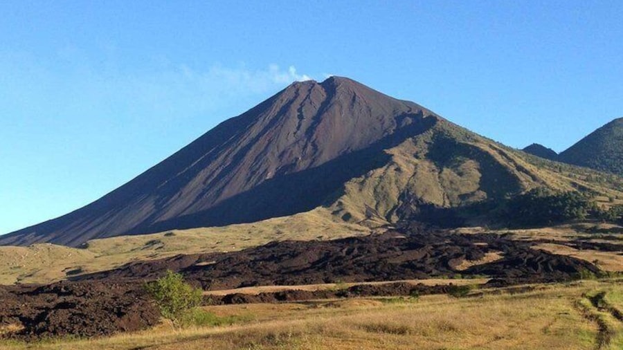 Pacaya Volcano