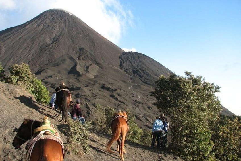 Pacaya Volcano Day Trip from Antigua