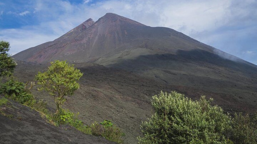 Pacaya Volcano Day Trip from Antigua