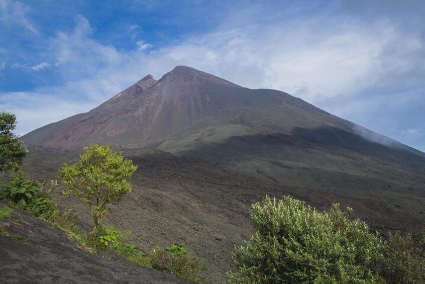 Pacaya Volcano Day Trip from Antigua