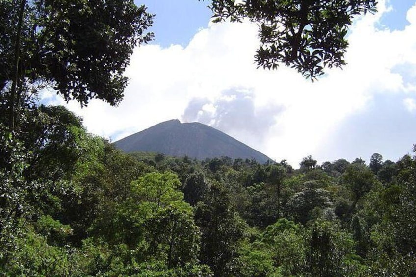 Pacaya Volcano Day Trip from Guatemala City