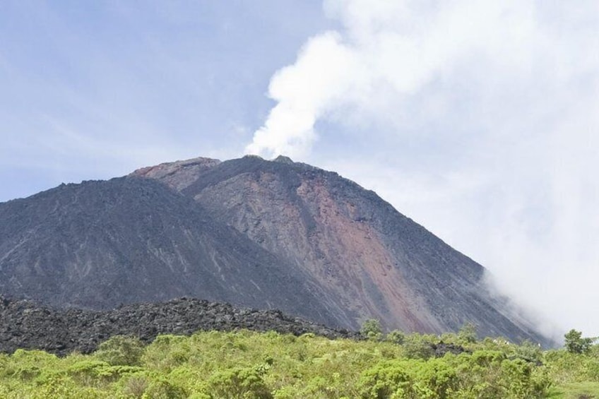 Pacaya Volcano Day Trip from Guatemala City