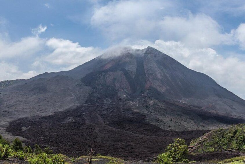 Pacaya Volcano Day Trip from Guatemala City