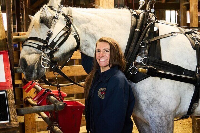 Daytime Horse-Drawn Carriage Sightseeing Tour of Historic Charleston