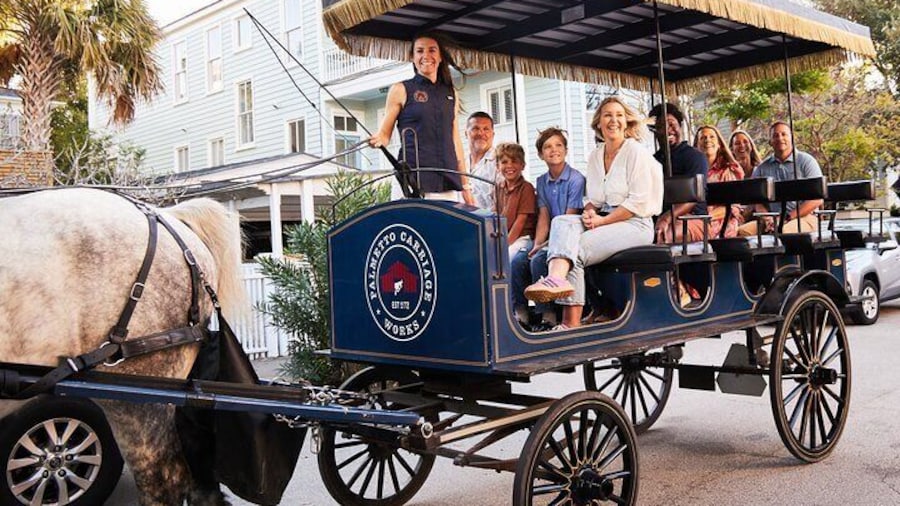 Charleston Horse-Drawn Carriage Tour: Explore Historic Charleston