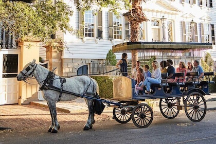 チャールストン馬車ツアー：ヒストリックチャールストンを探索