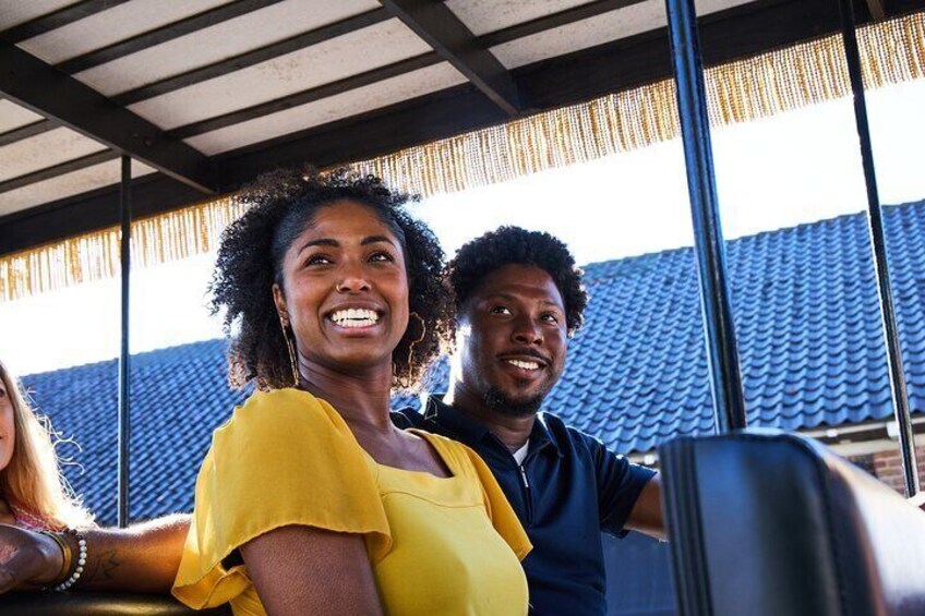 Daytime Horse-Drawn Carriage Sightseeing Tour of Historic Charleston