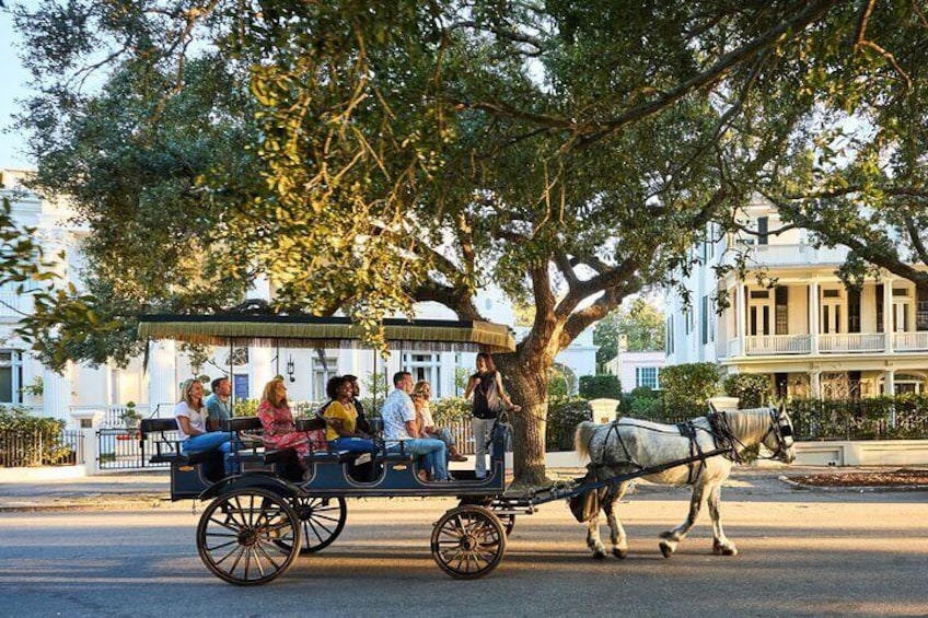 Daytime Horse-Drawn Carriage Sightseeing Tour of Historic Charleston