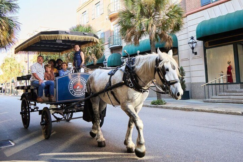 Daytime Horse-Drawn Carriage Sightseeing Tour of Historic Charleston