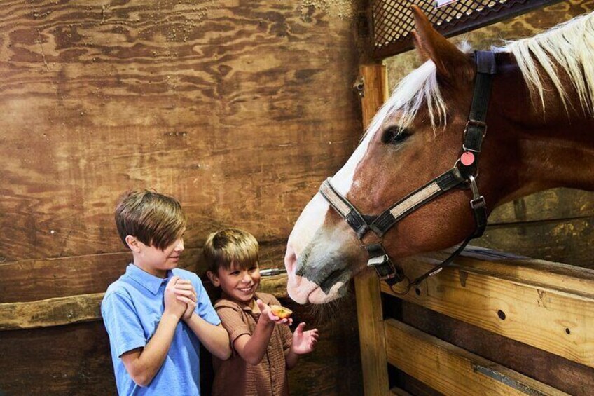 Daytime Horse-Drawn Carriage Sightseeing Tour of Historic Charleston