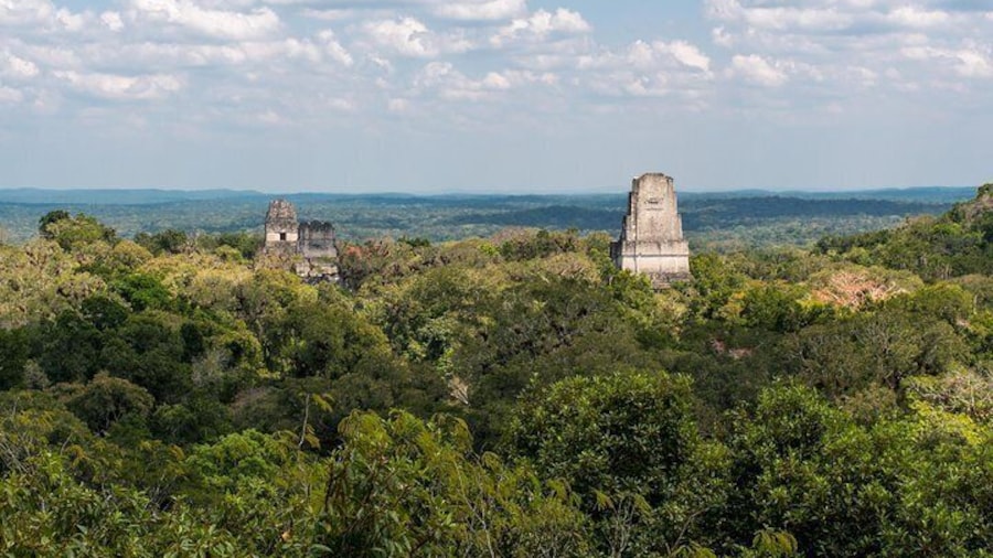 TikalVIP private day Tour from Flores or tikal with transport and drinks
