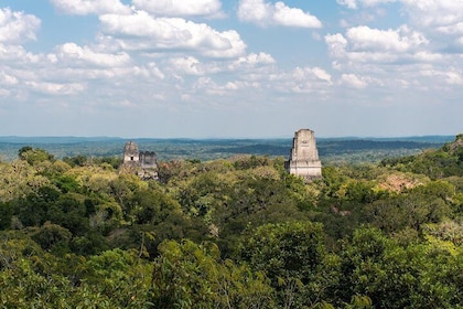 Tikal Tour From Flores, airport and Tikal hotels in Guatemala