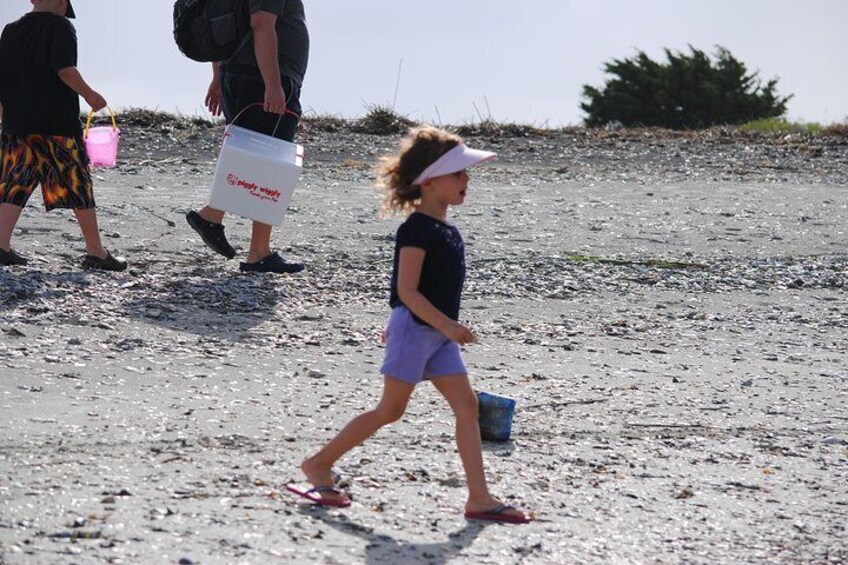 Charleston's Tidal Creeks Eco Boat Cruise with Stop at Morris Island Lighthouse