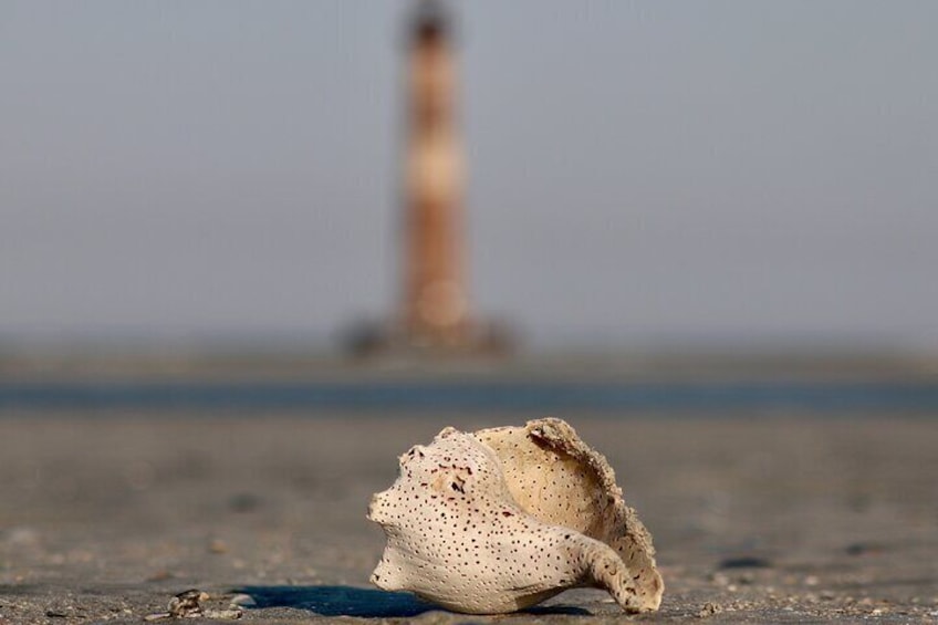 Charleston Marsh Eco Boat Cruise with stop at Morris Island Lighthouse