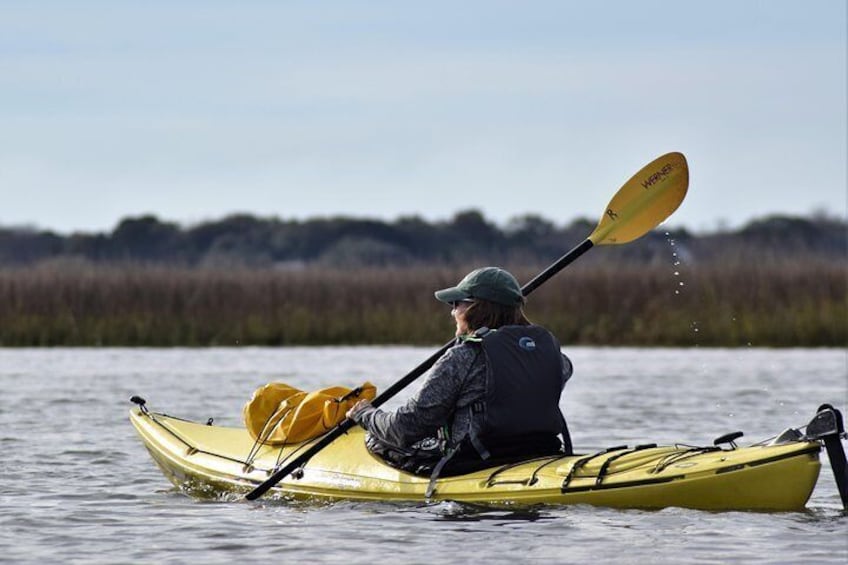 2-Hour Guided Kayaking Eco Tour in Charleston