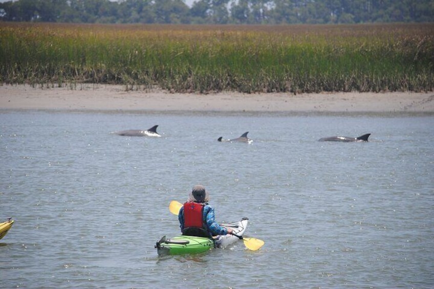 2-Hour Guided Kayak Eco Tour in Charleston