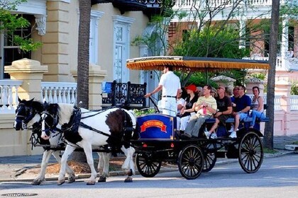 Myrtle Beach to Charleston with Horse & Carriage Ride, Harbor Cruise, Boone...