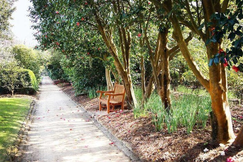 Middleton Place Garden Walkway