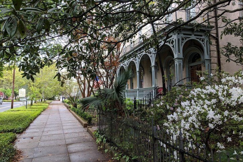 Private Tour of Savannah's Historic District, Isle of Hope & Bonaventure