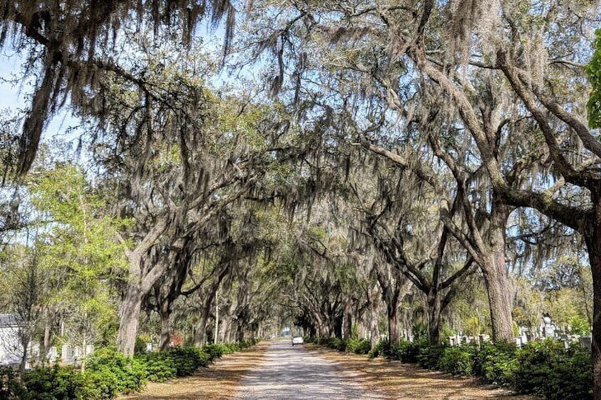 Private Tour of Savannah's Historic District, Isle of Hope & Bonaventure