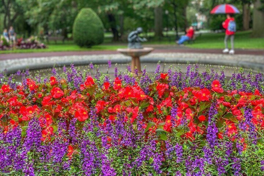 Boston Public Garden