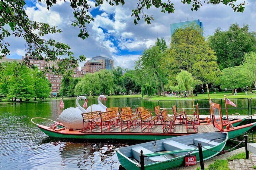 Boston Public Garden
